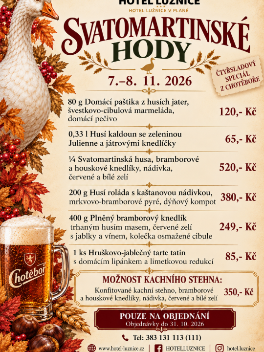 Svatomartinské hody