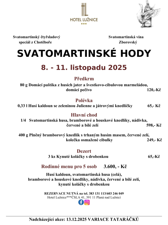Svatomartinské hody